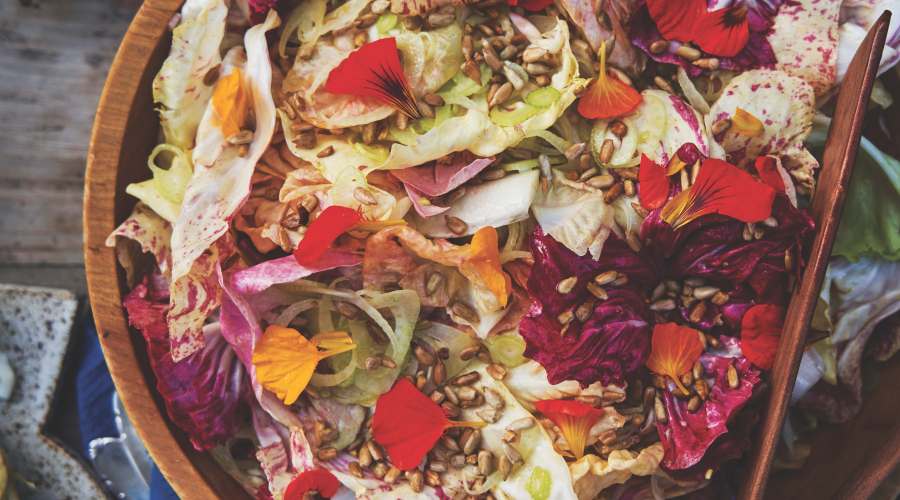 Fennel Lettuce Salad