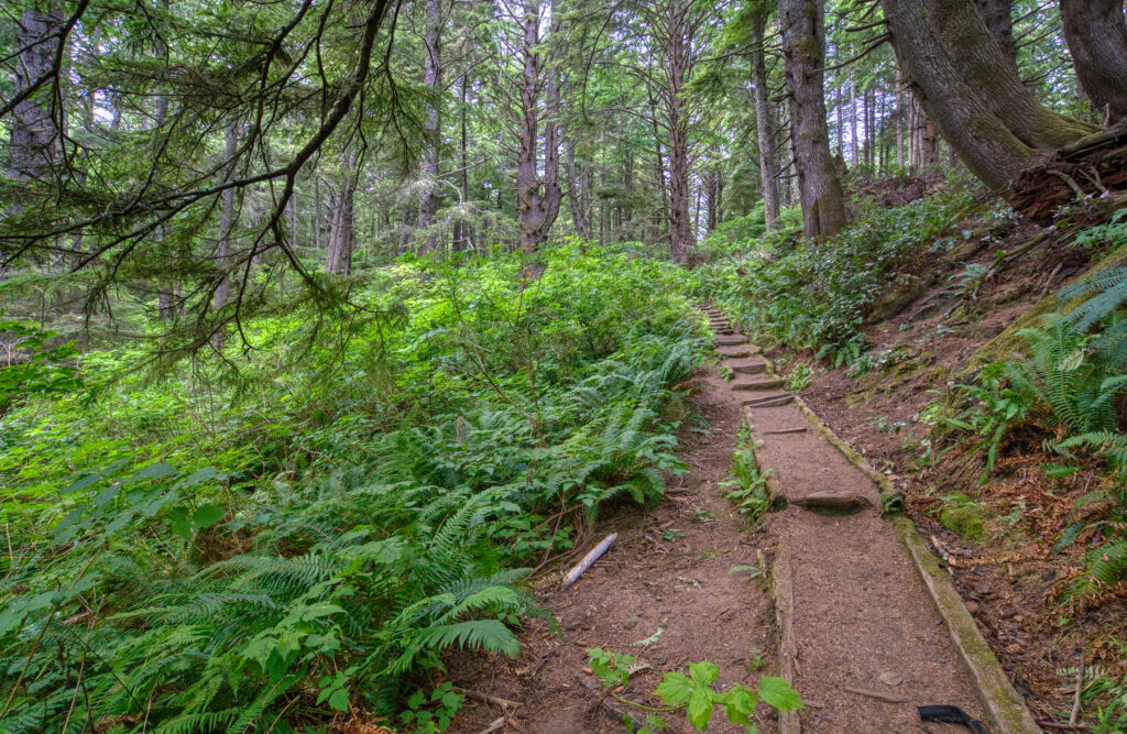 Second Beach Trail La Push Washington