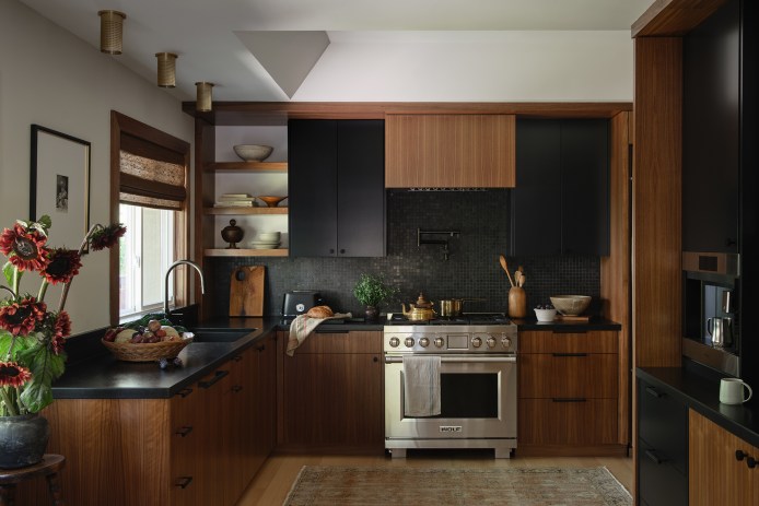 SF Kitchen Makeover by Danielle Lievre