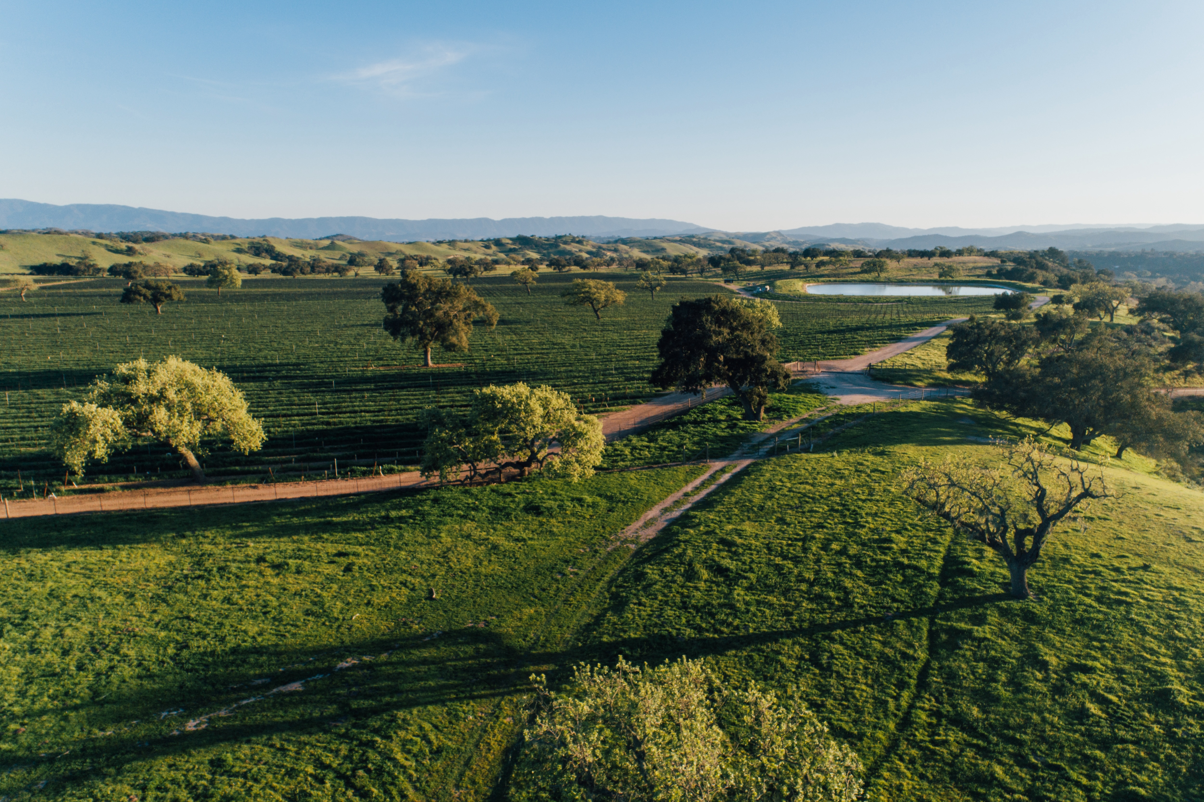 fess-parker-ranch-horseback-adventures