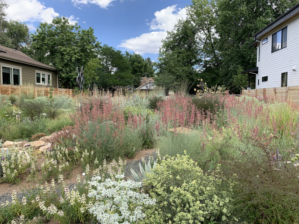 Shrouded in Light Denver Garden