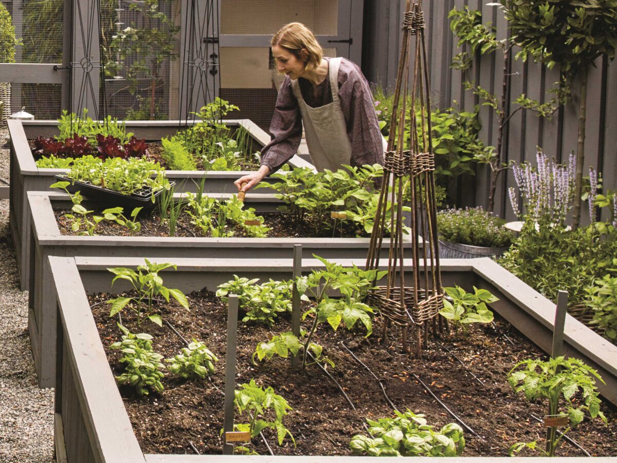 Rosie Daykin with Raised Beds