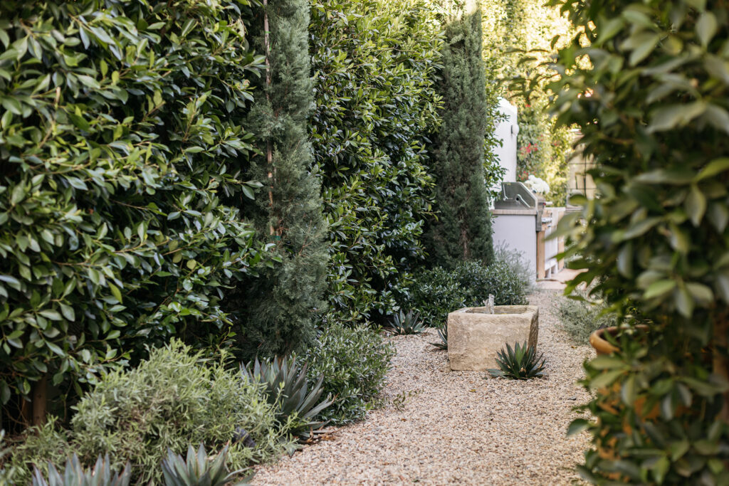 Side Yard in Melrose Backyard