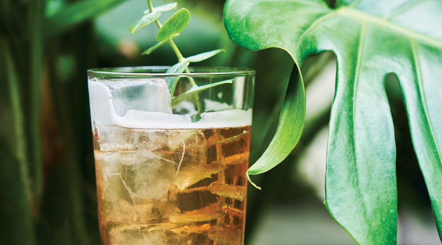 Damian Smoked Highball Cocktail Recipe