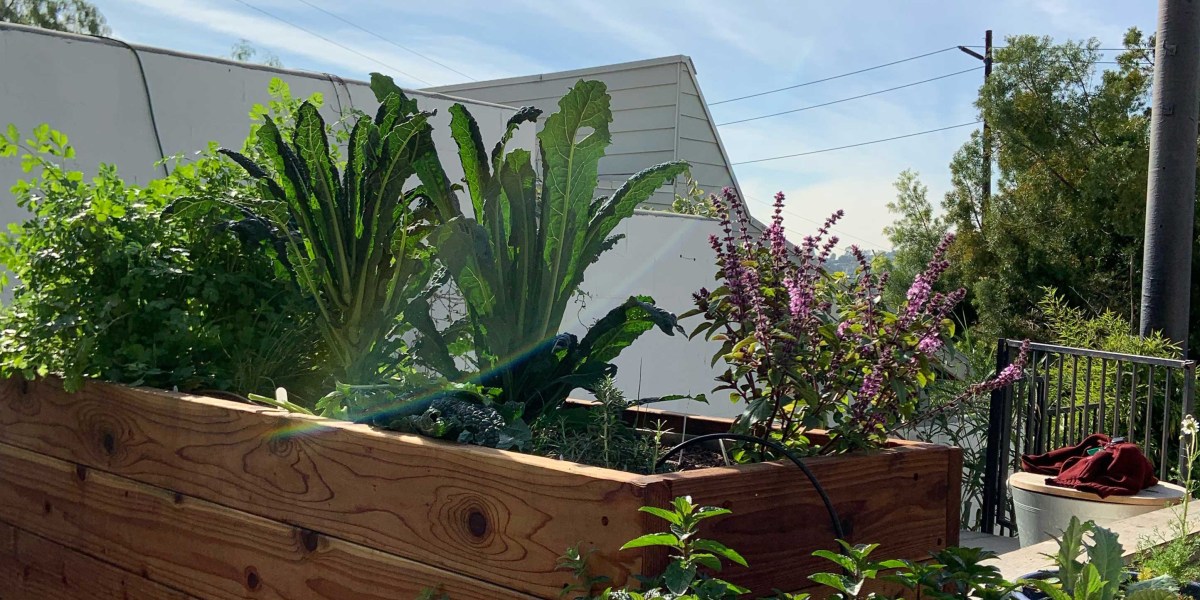 Raised Beds Beds and Pots