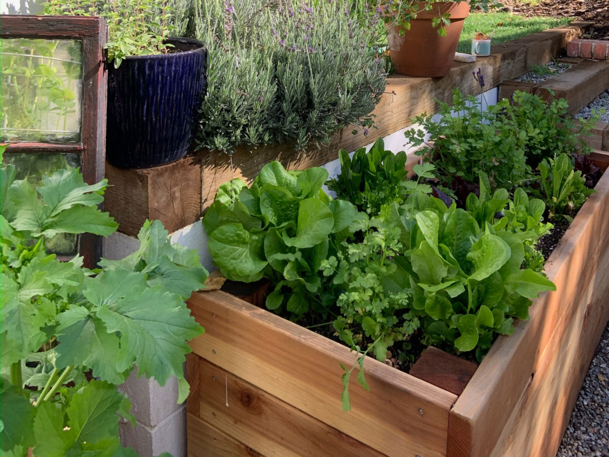 Raised Bed Against a Retaining Wall