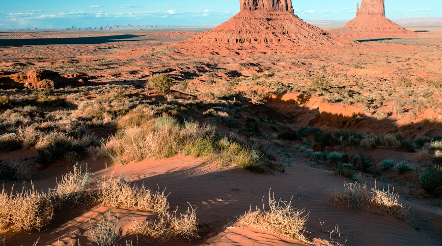 arizona-desert-splendor