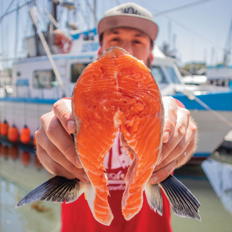H&H Salmon Santa Cruz