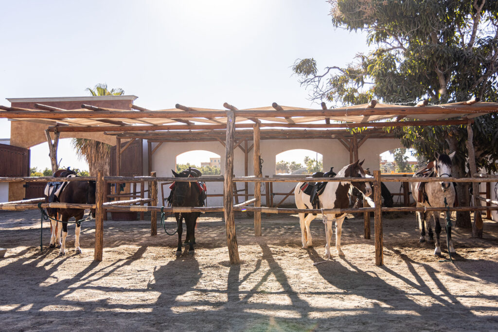 Stables at Villa Santa Cruz