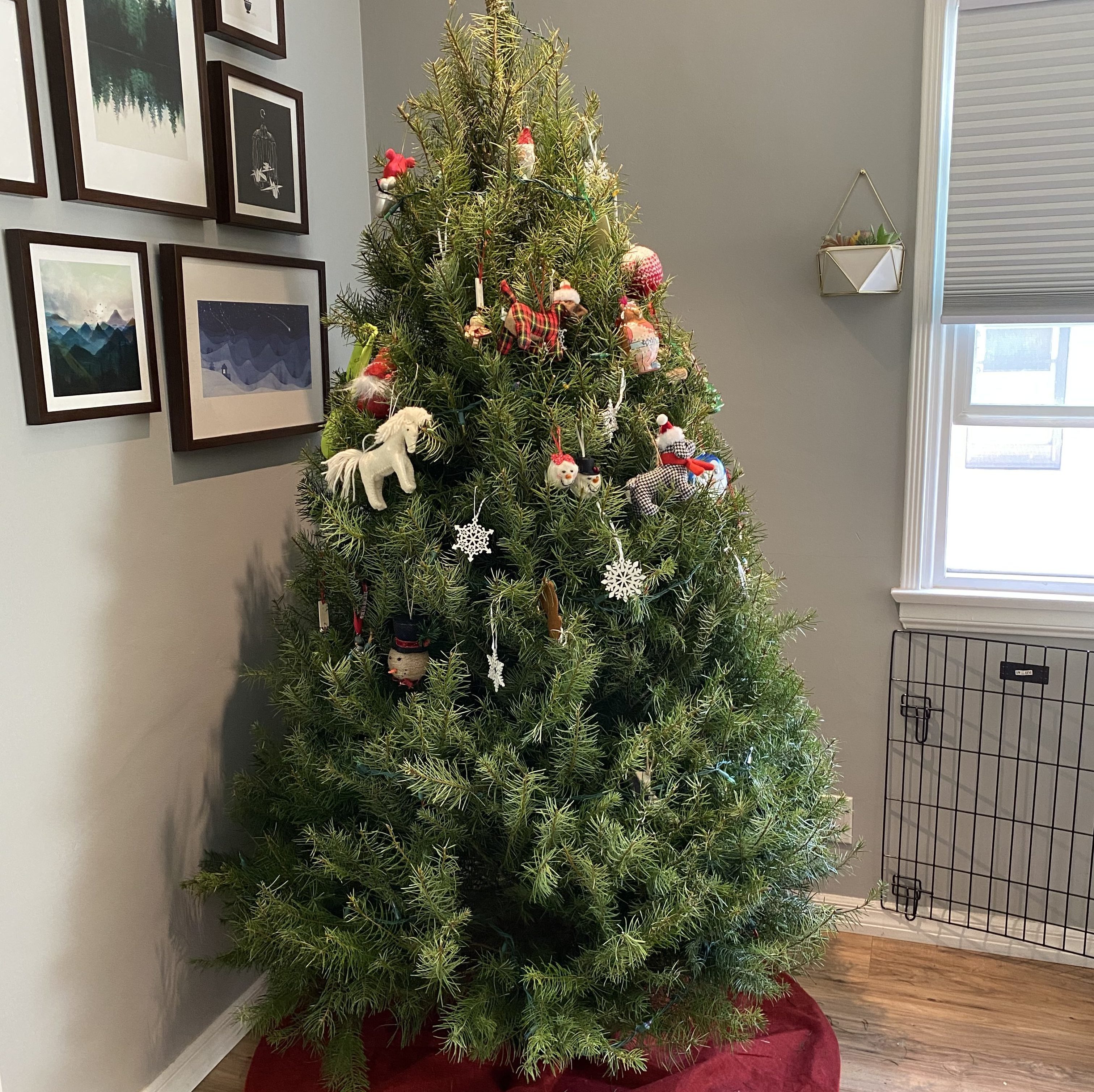 Tree with the Top Half Decorated
