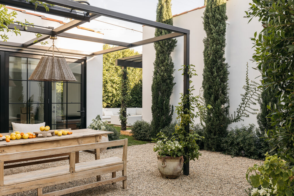 Steel Trellis in Melrose Backyard