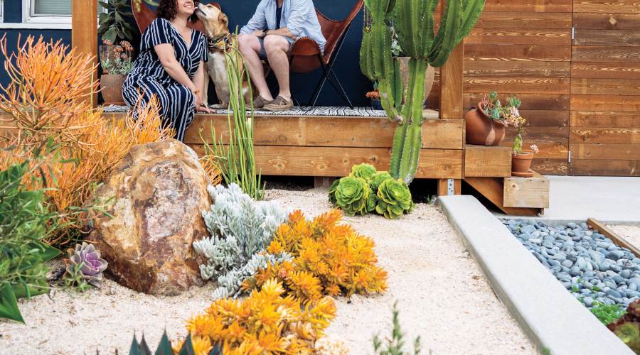 bringing-the-desert-home