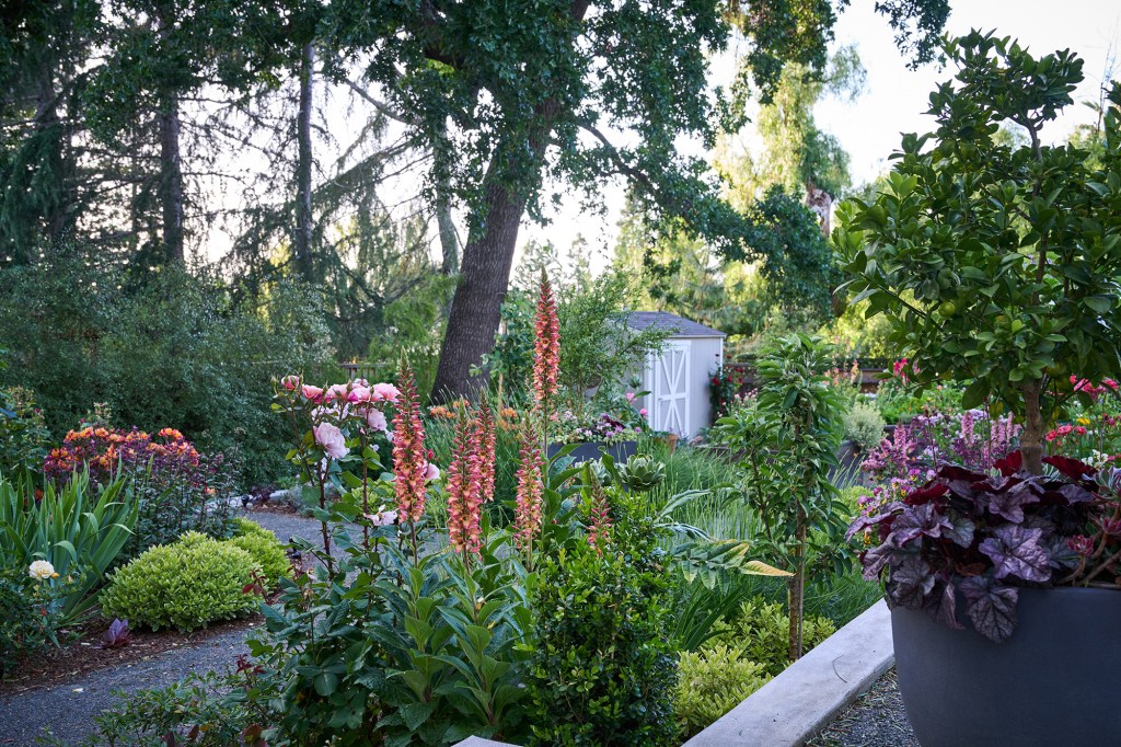 10 Essential Tasks to Keep Your Garden Healthy This Summer