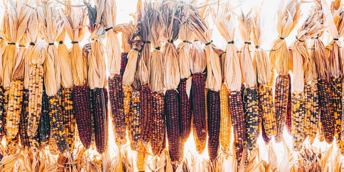 Grab This Snack, Peep That Art, and More Things to See and Do This Week