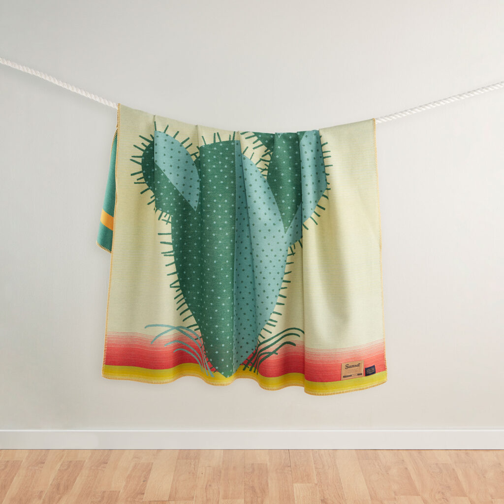 Sunset Pendleton Blanket Hanging