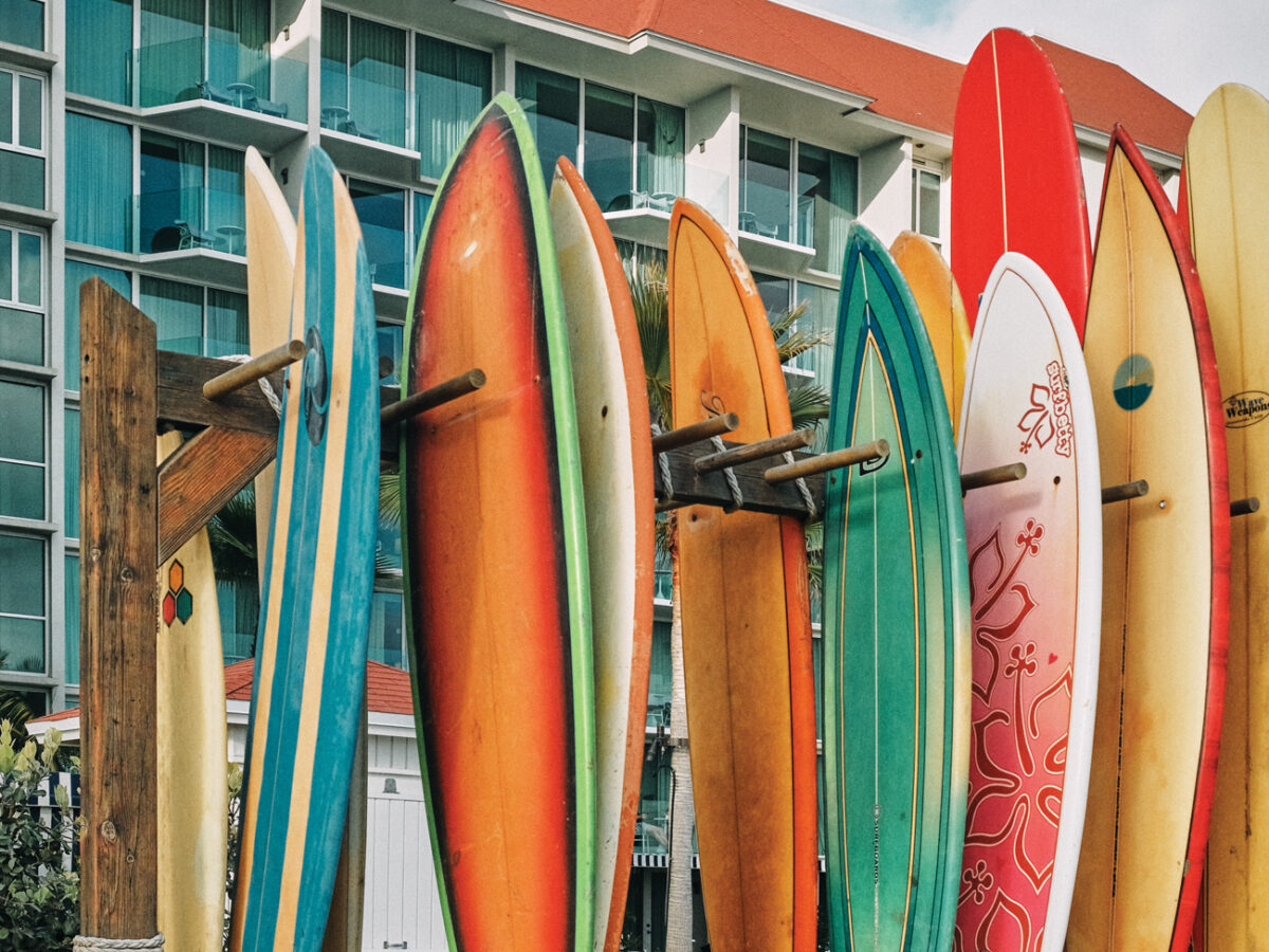 Surfboard Lineup