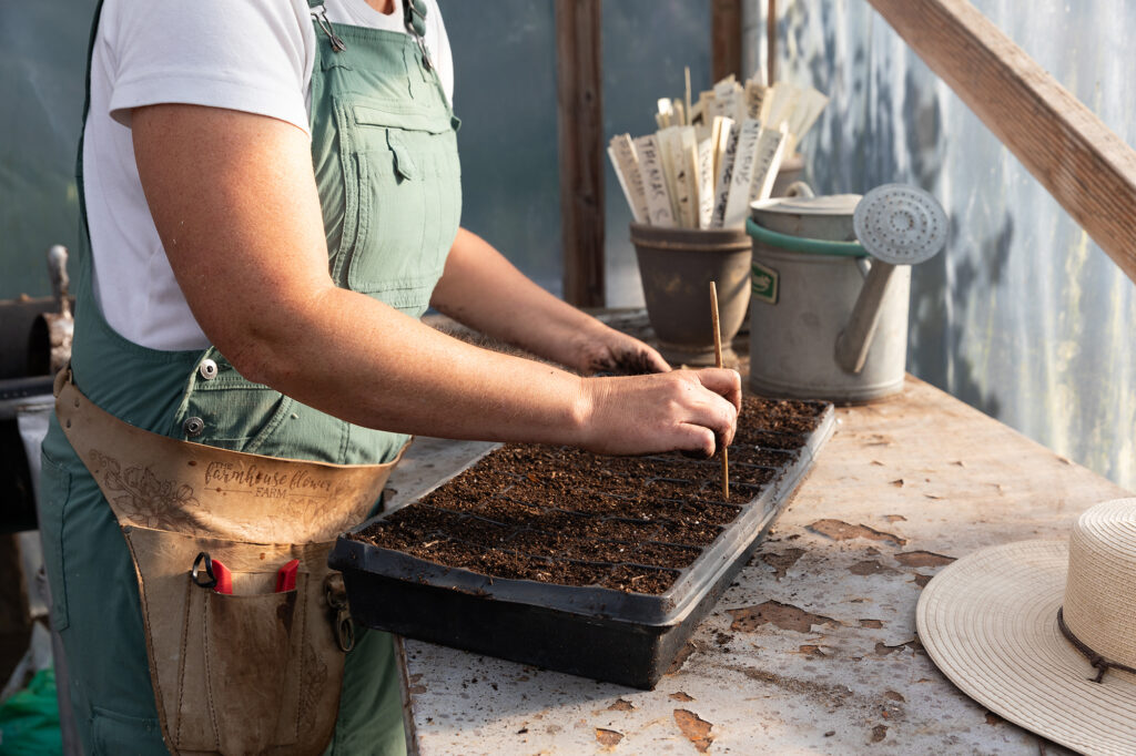 Sweet Pea School Sowing Seeds Tray