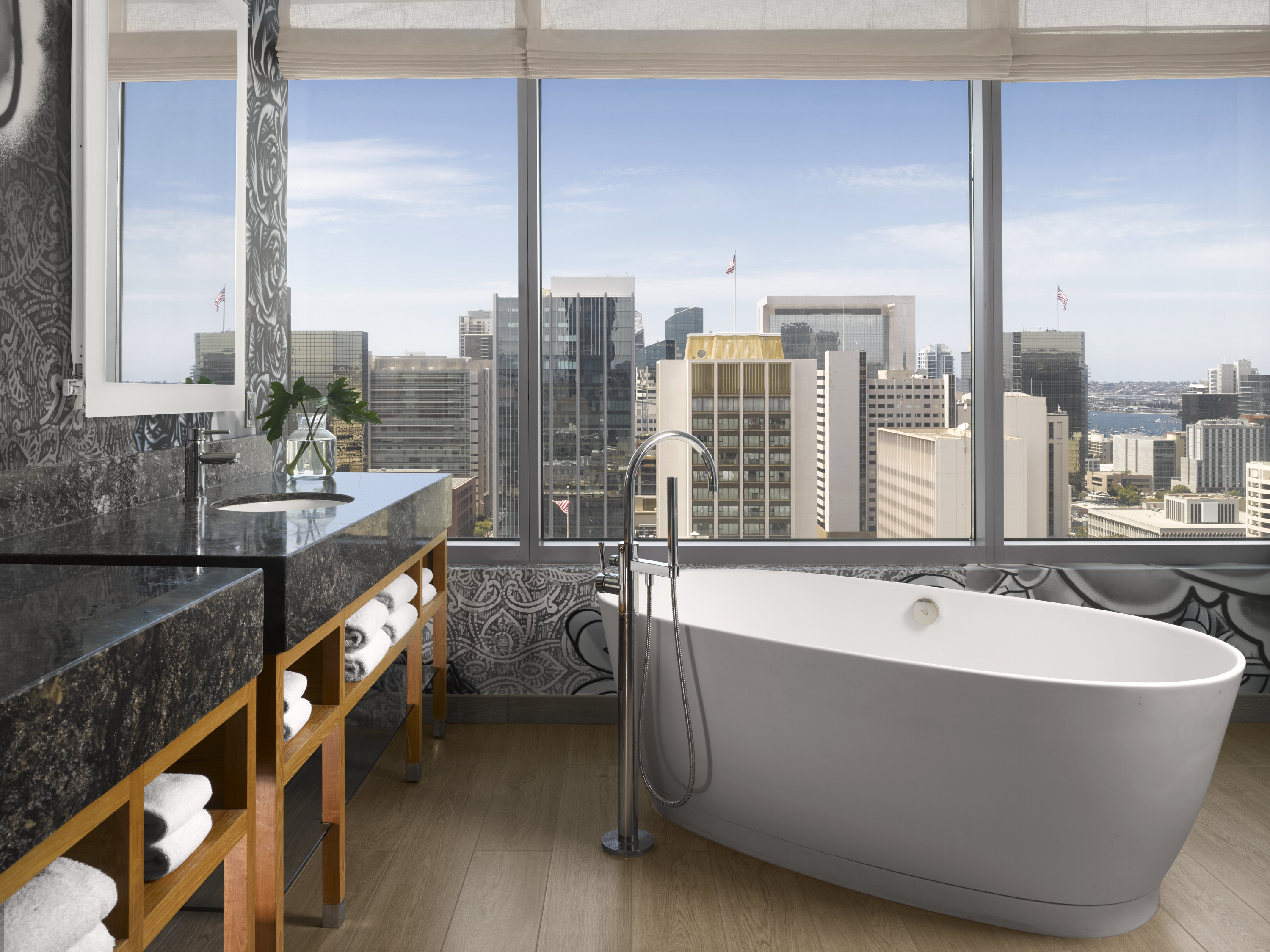 suite-tub-view