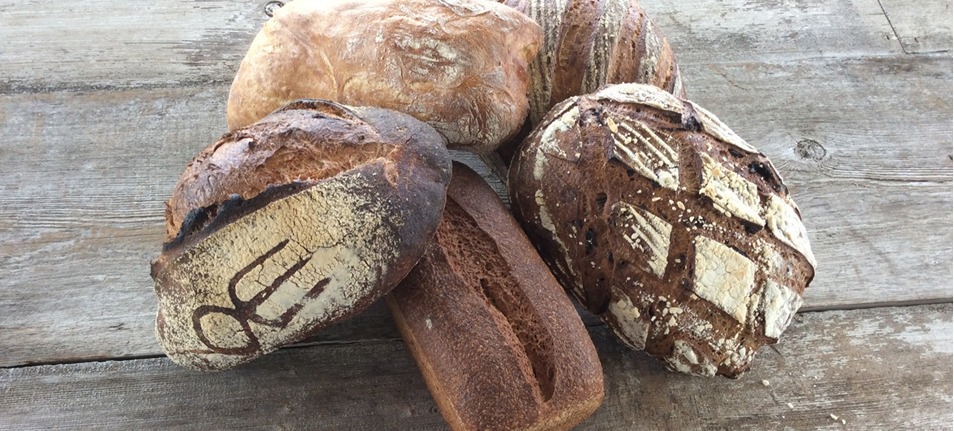 assorted-artisan-breads