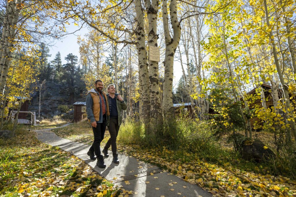 Couple Walking in Woods at Camp Richardson
