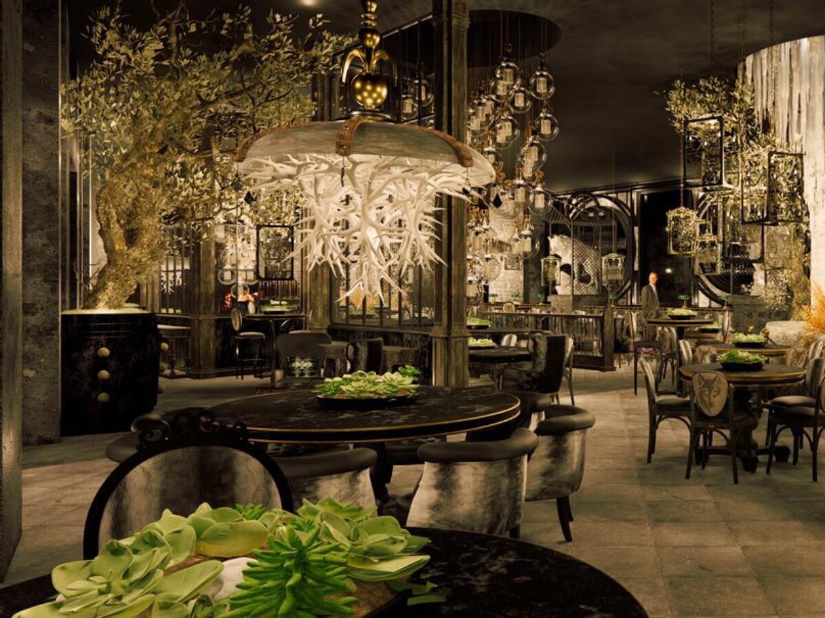 Wolf by Vanderpump at Harveys Lake Tahoe