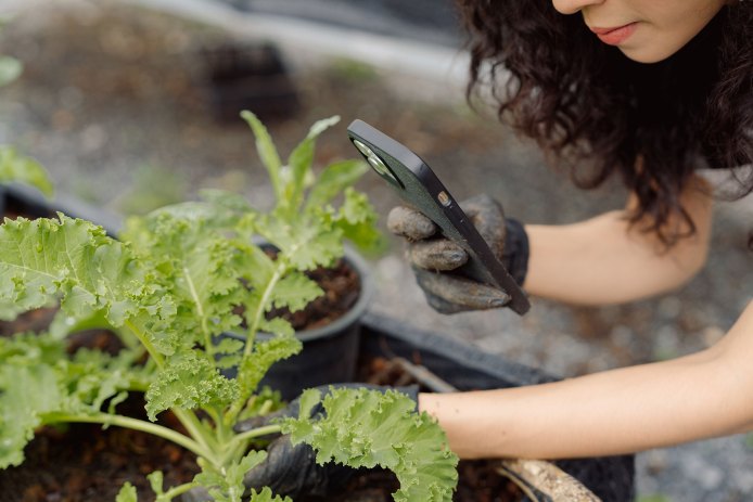 Taking Photo of Garden