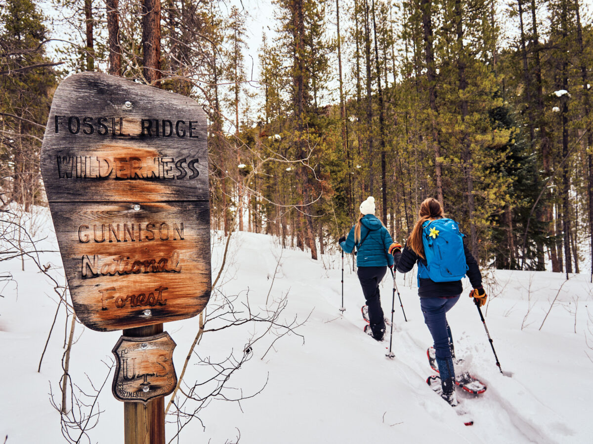 Krista Simmons Snowshoeing in the Fossil Ridge Wilderness