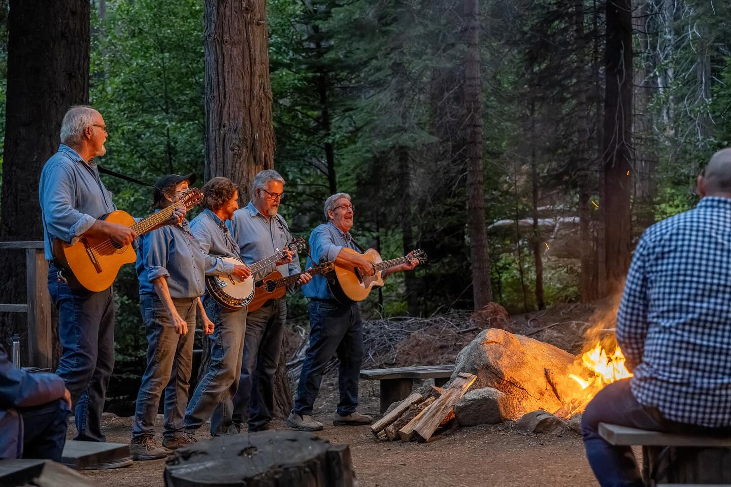 yosemite-mountain-sugar-pine-railroad-sugar-pine-band-on-moonlight-special