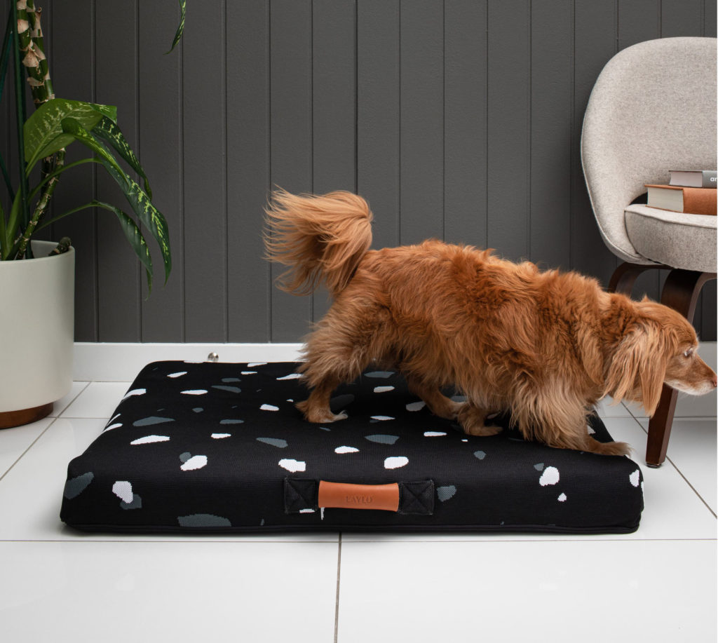 terrazo nordstrom dog bed