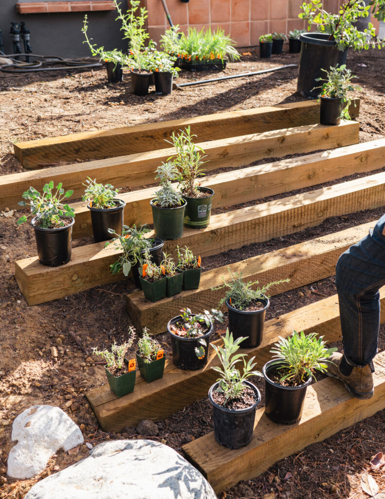 Terremoto Hugh Garvey Yard Plant Containers