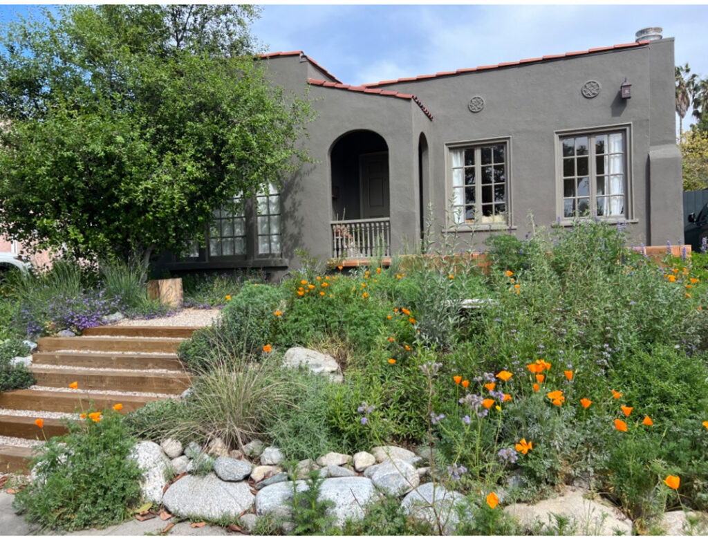 Terremoto Hugh Garvey Yard Native Plants