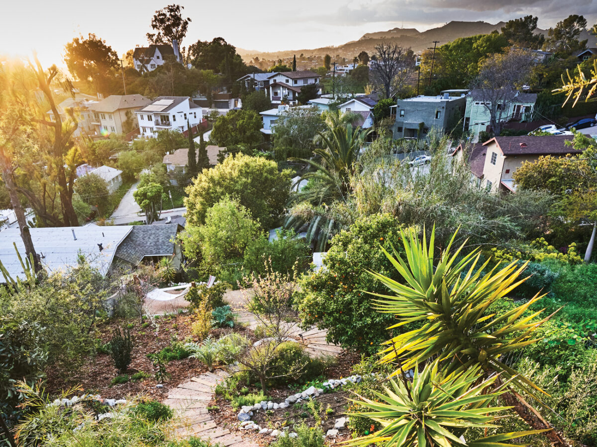 Kismet Garden Owned by Sara Kramer