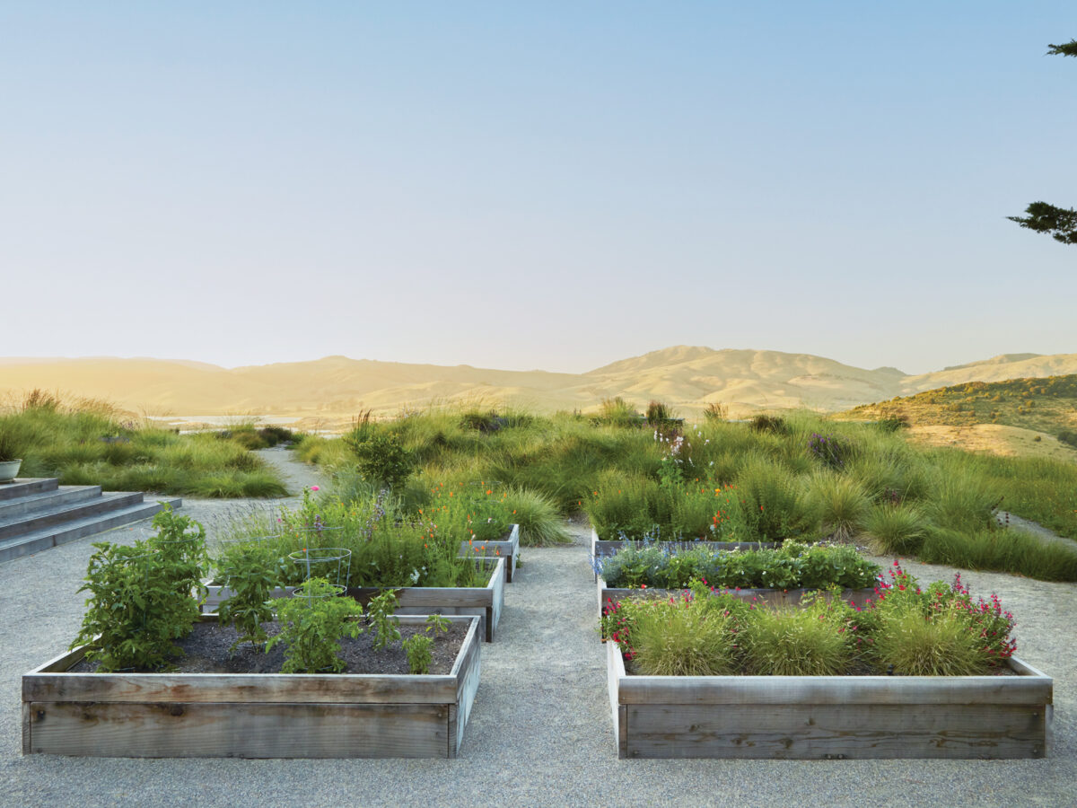 Raised Beds in Point Reyes