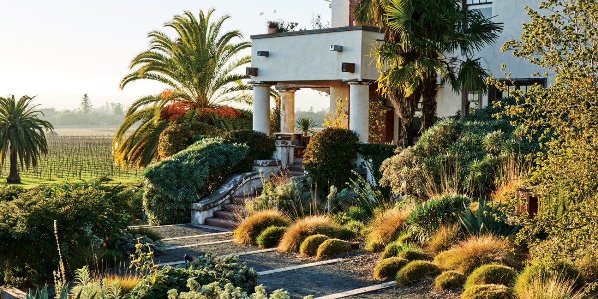 Scribe Winery Landscaping