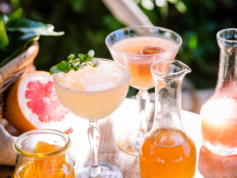 the camellia cocktail