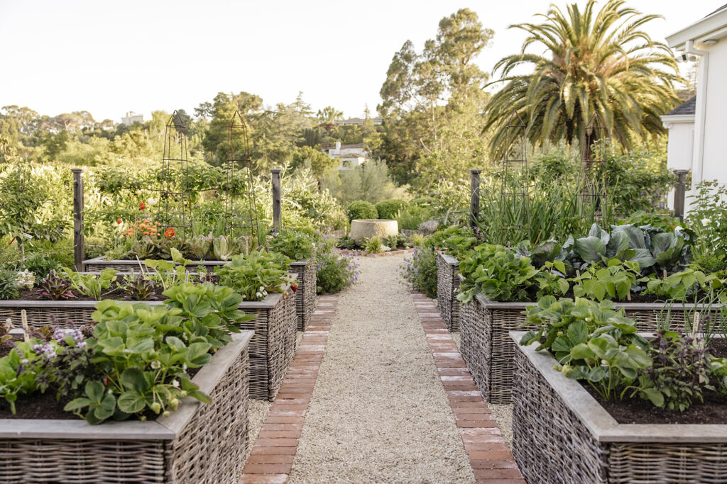 The Food Forward Garden Raised Beds Christian Douglas Design
