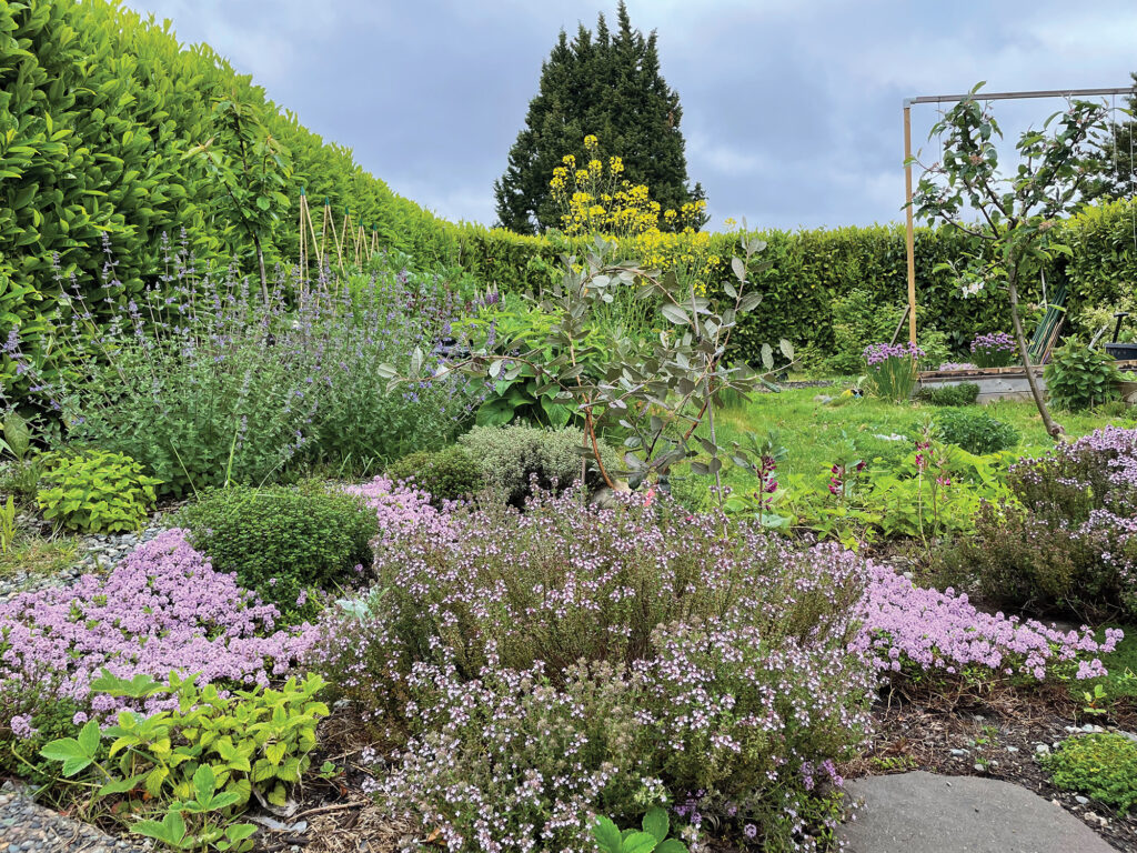 Layered Edible Garden