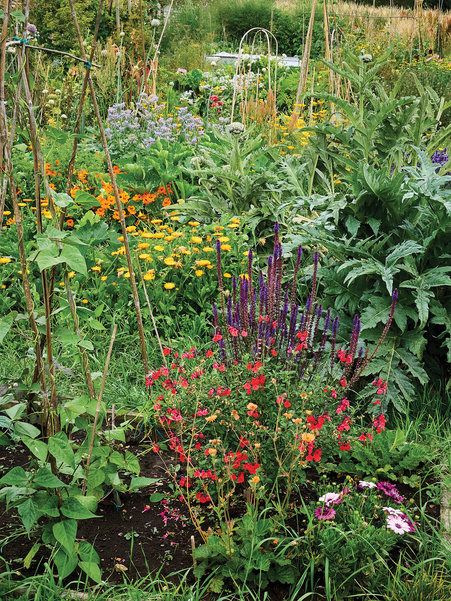 Colourful corner of a Somerset kitchen garden
