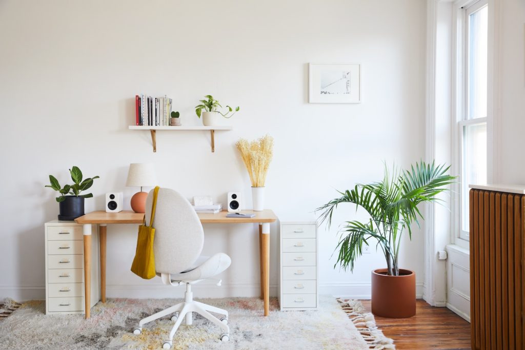 The sill plant in an office