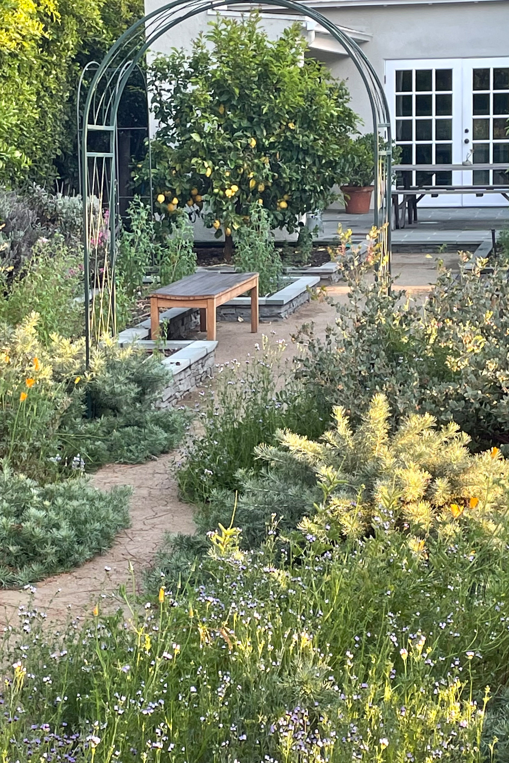 Theodore Payne Garden