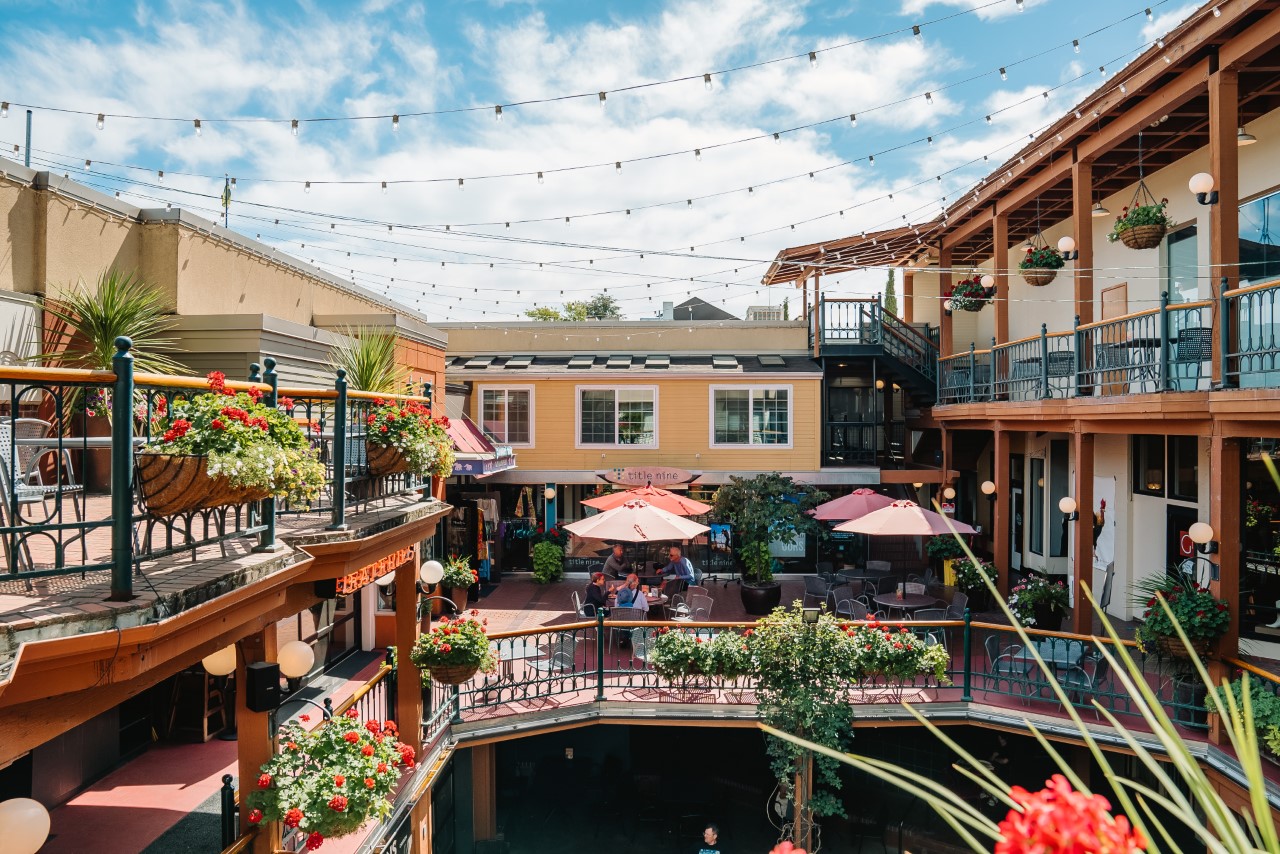 thumbnail_market-fest-2022-246