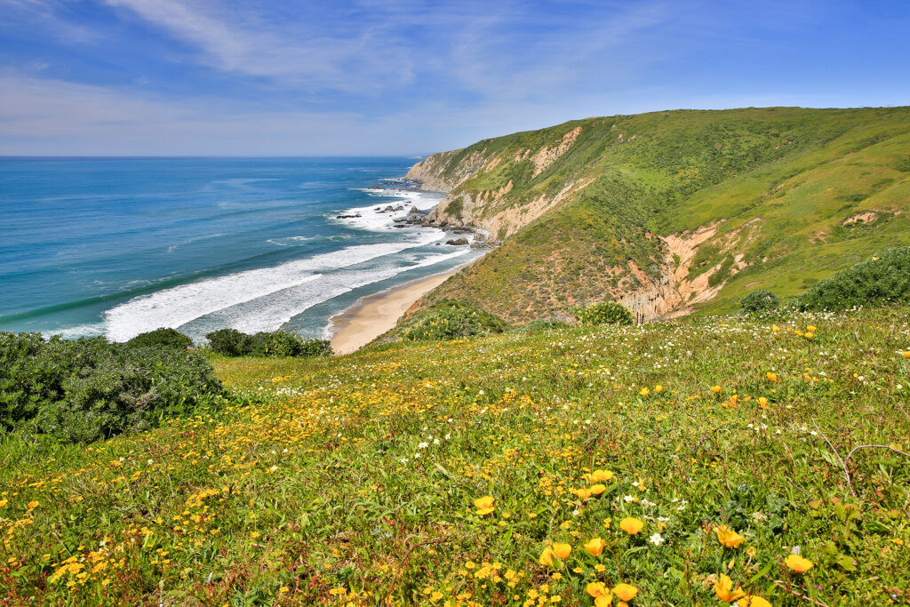 Tomales Point Trail Reyes National Seashore