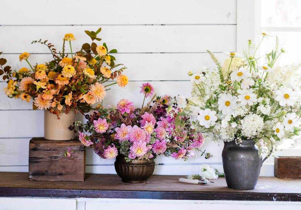 Here’s How to Shop for Flowers at Trader Joe’s, According to a Garden Editor