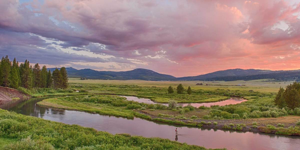 Yellowstone's Madison River
