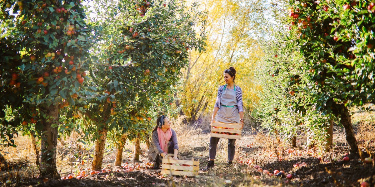 Travel to These 6 Stunning Spots to Get all the Fall Feels