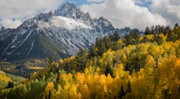 travel-fall-folliage-national-forests