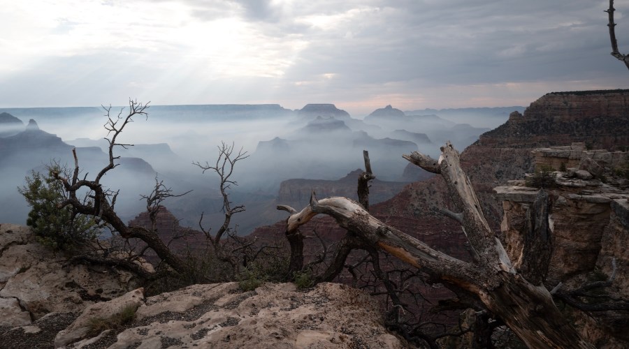 The Raging Megafire in One of the National Parks Has Grown to the Largest in the Country