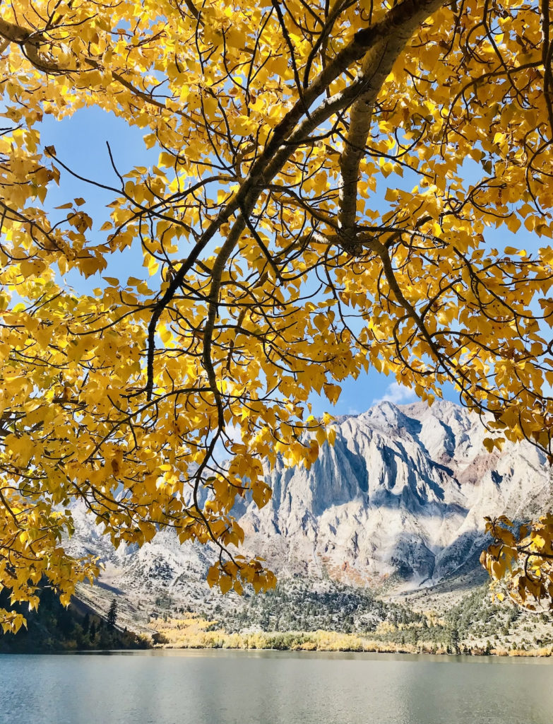 Convict Lake autumn leaf peeping