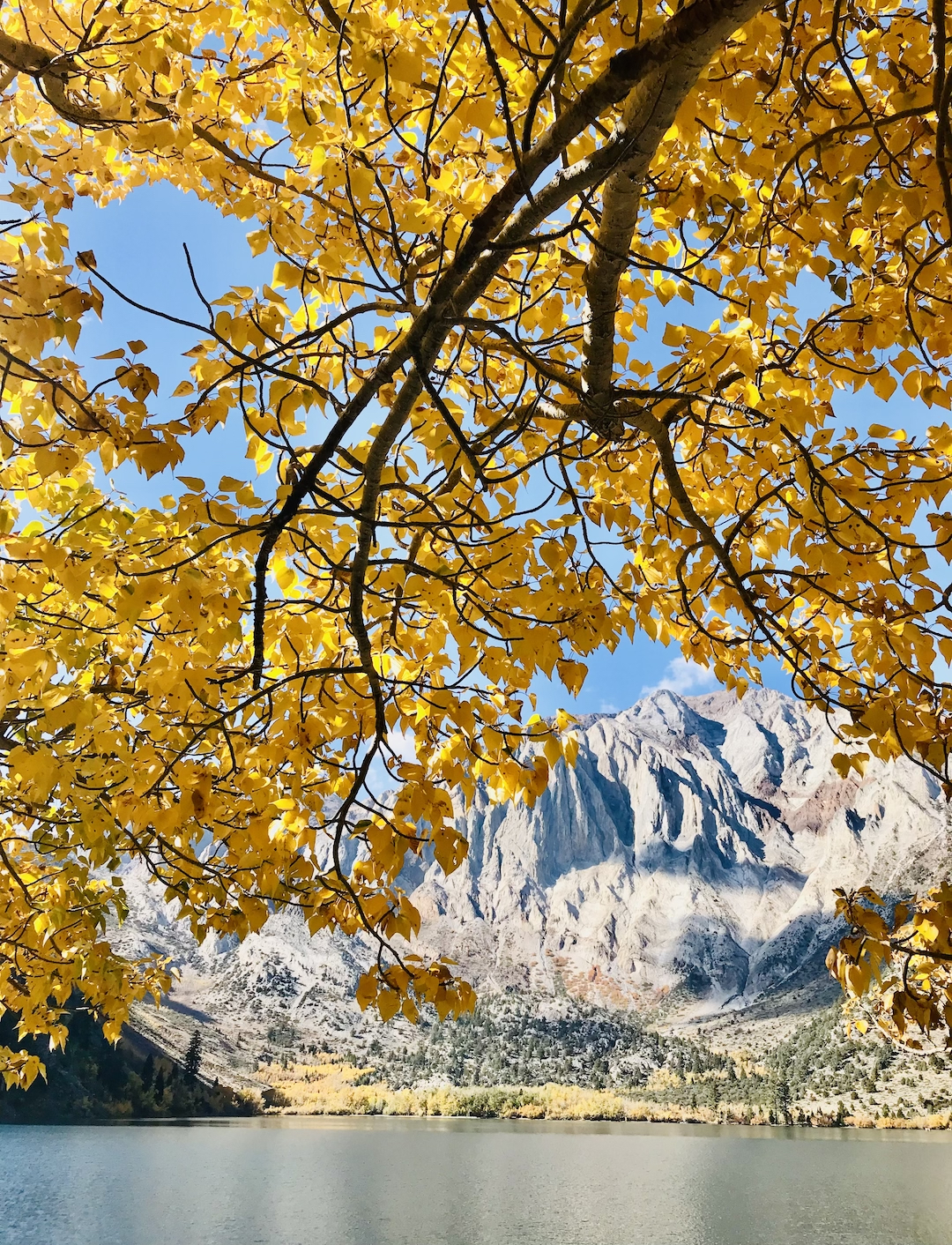 Convict Lake autumn leaf peeping