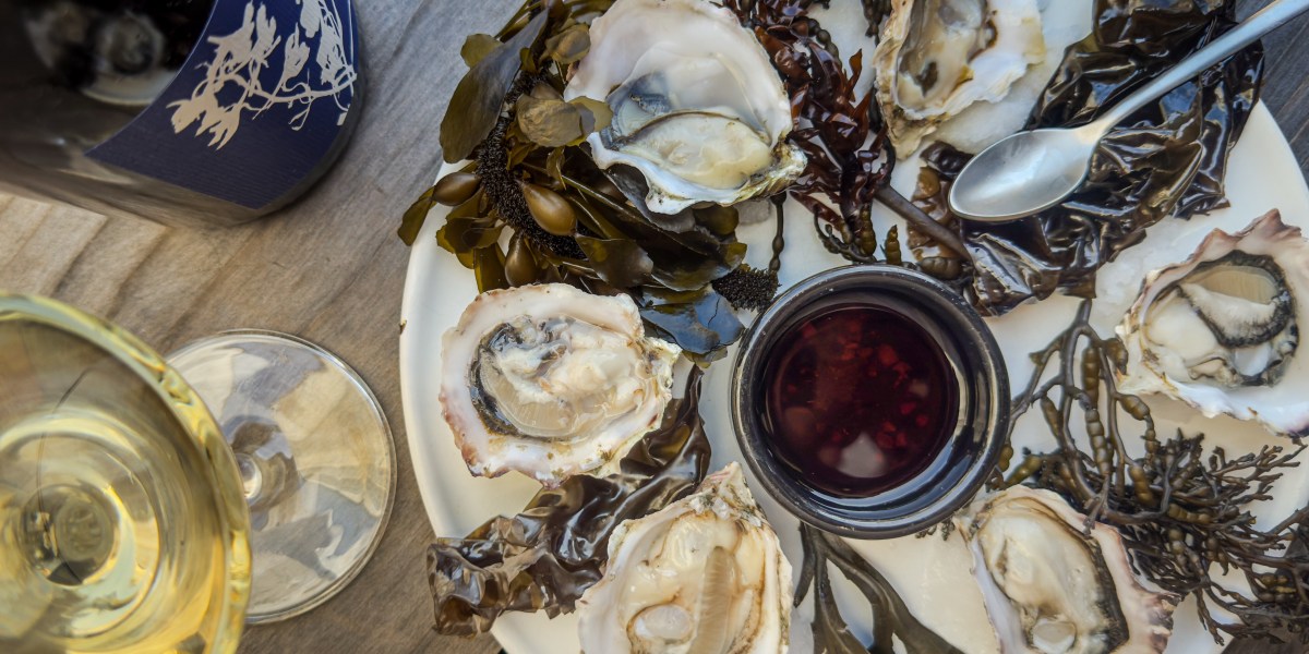 I Went Seaweed Foraging on the Sonoma Coast—Here’s What I Learned